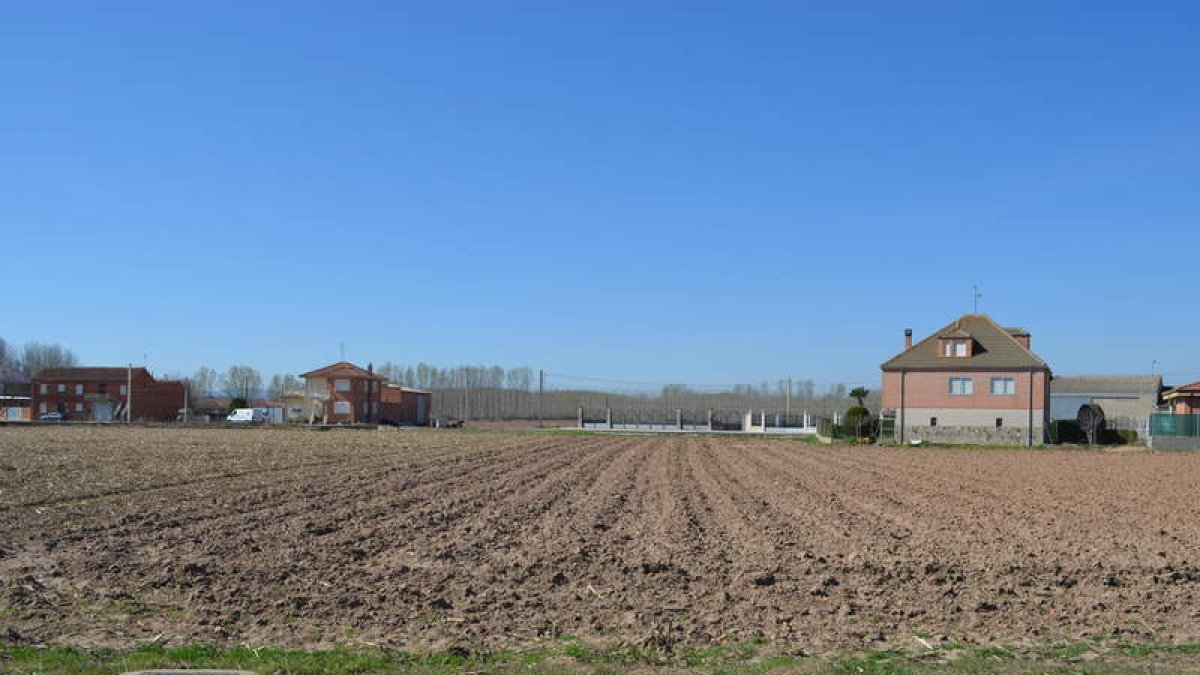 ‘El campo a medias’ donde apenas se distingue donde acaba un pueblo y empieza el otro. MEDINA