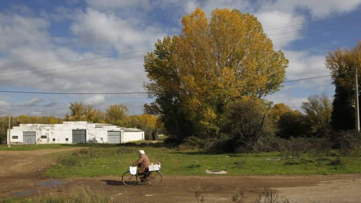 Una de las parcelas comunales, en la zona del Truébano, que ha vuelto a la Junta Vecinal.