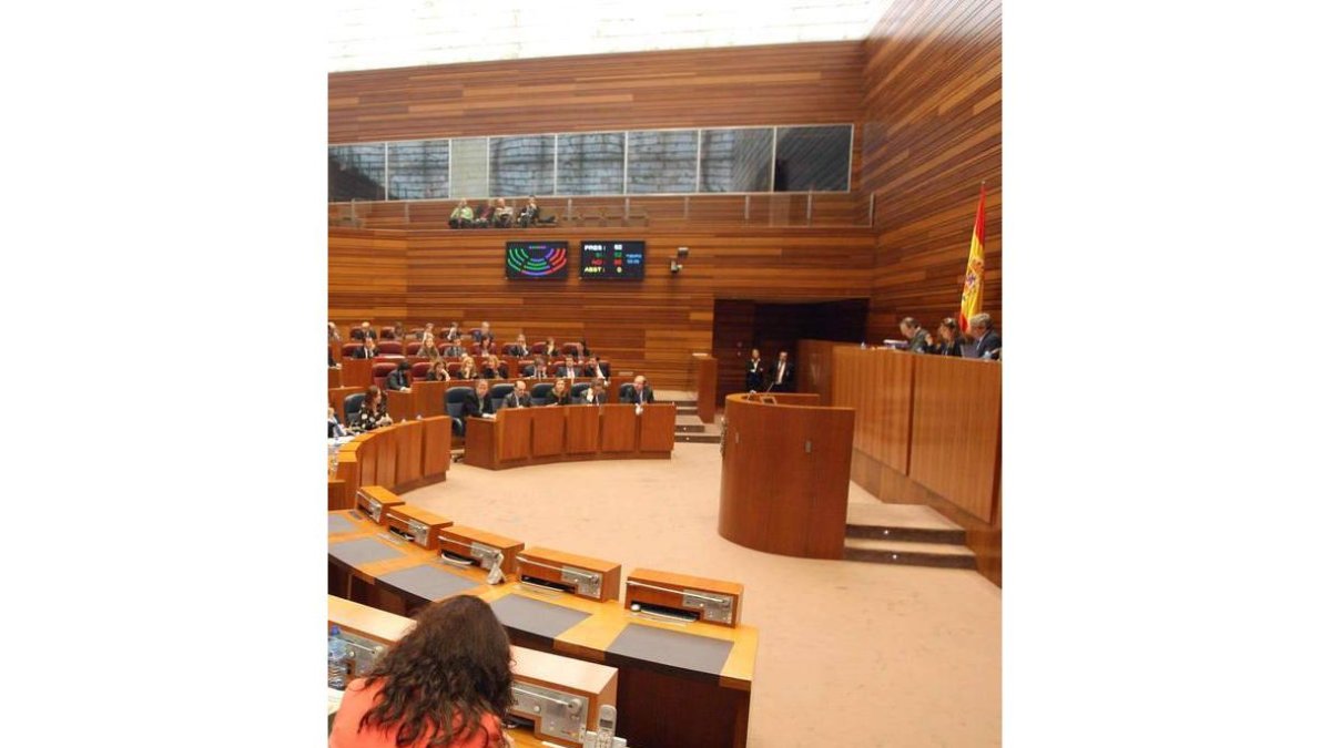 Sesión en las Cortes de Castilla y León.