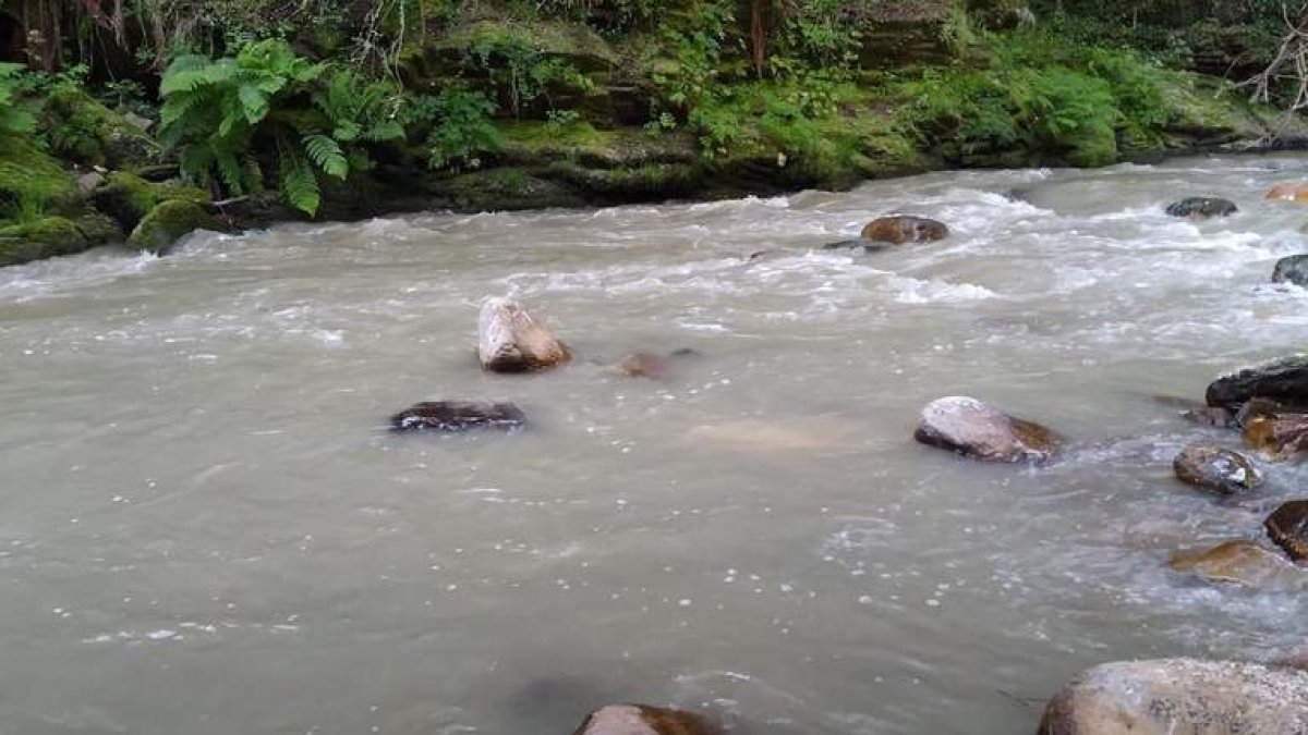 Estado del río Cabrera este pasado sábado a la altura de Robledo de Losada. DL