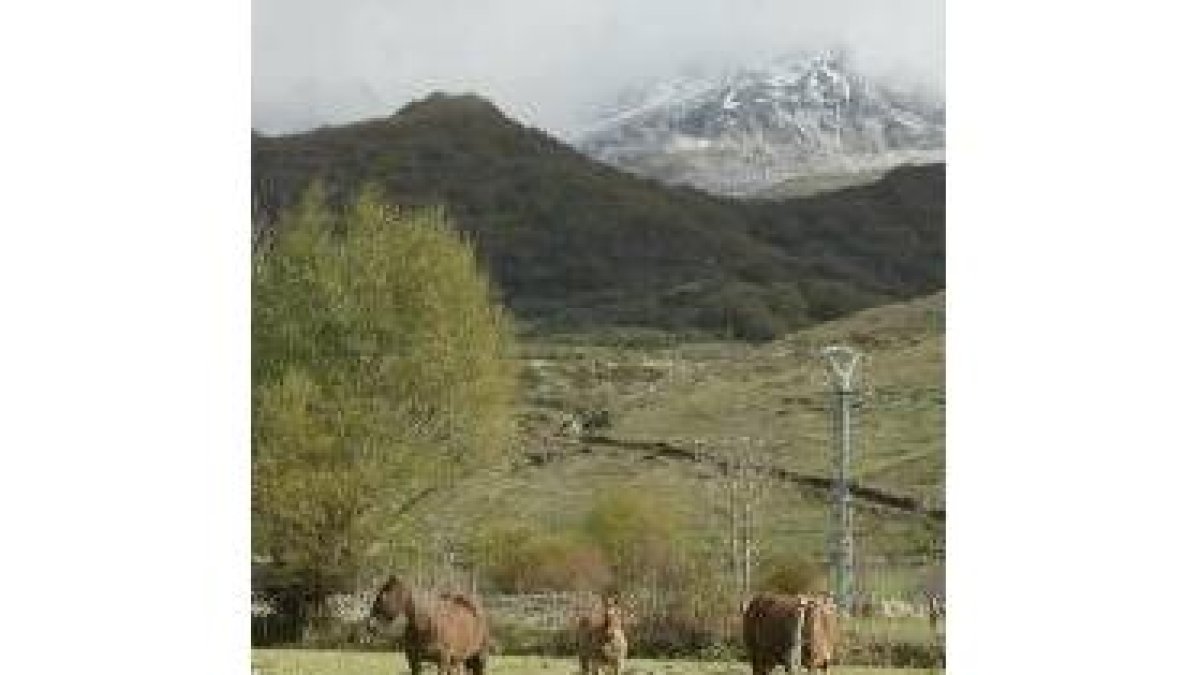 Las ayudas medioambientales superaron los cuatro millones en León