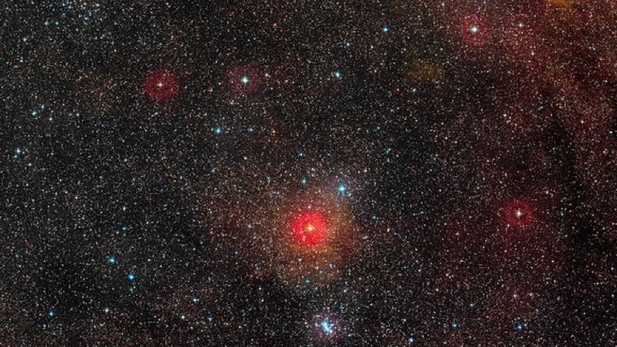 Estrella hipergigante