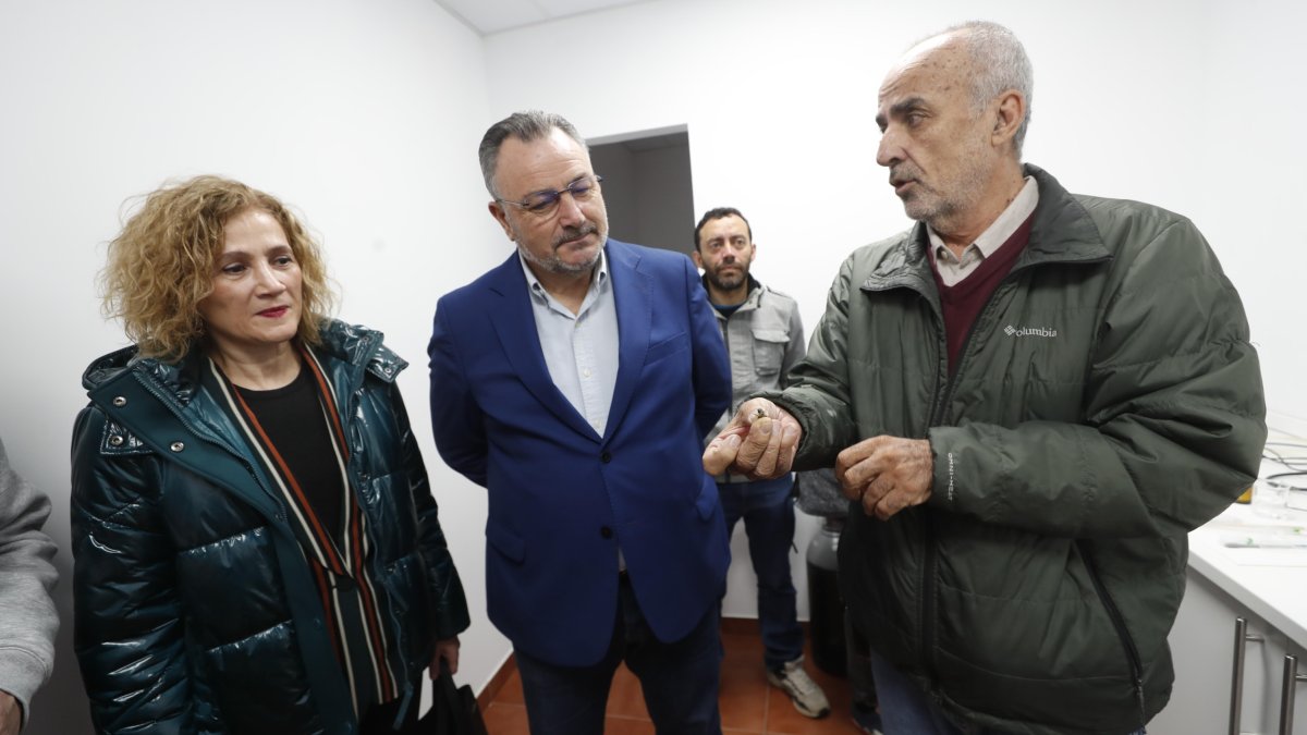 Silvia Franco (Junta), Eduardo Morán (alcalde de Camponaraya y presidente de la Diputación), hoy con el experto mundial de inseminación de abejas reinas, el mexicano Enrique Estrada. L. DE LA MATA