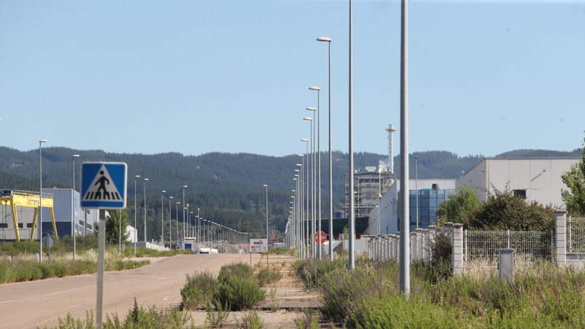 Estado de maleza que presentan calles y aceras del polígono del Bayo este fin de semana. ANA F. BARREDO