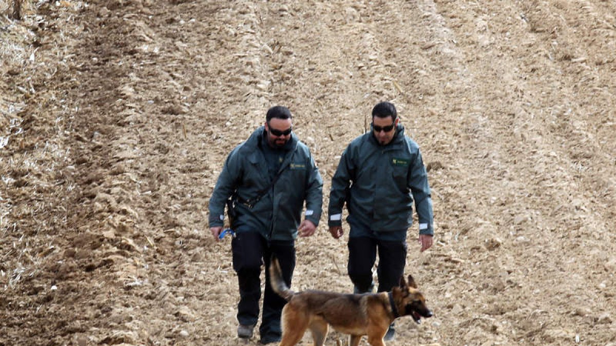 Agentes del Servicio Cinológico de la Guardia Civil regresan al lugar en el que apareció el coche del sospechoso hace nueve días para descartar opciones o conseguir certezas en la investigación del caso