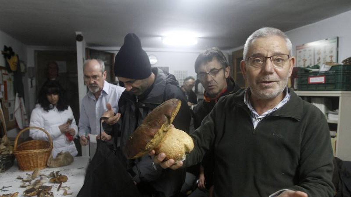 Julián Cerezal muestra un ejemplar de Boletus pinophullus