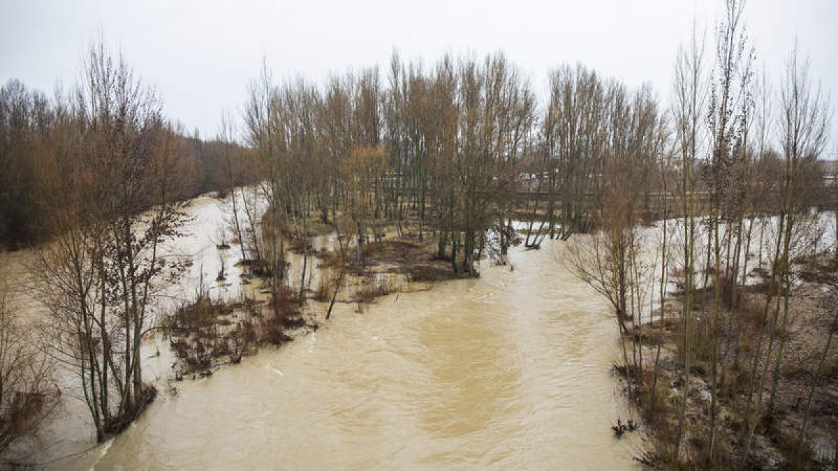 Confluencia de los ríos Bernesga y Torío a su paso por León, ayer. JESÚS F. SALVADORES