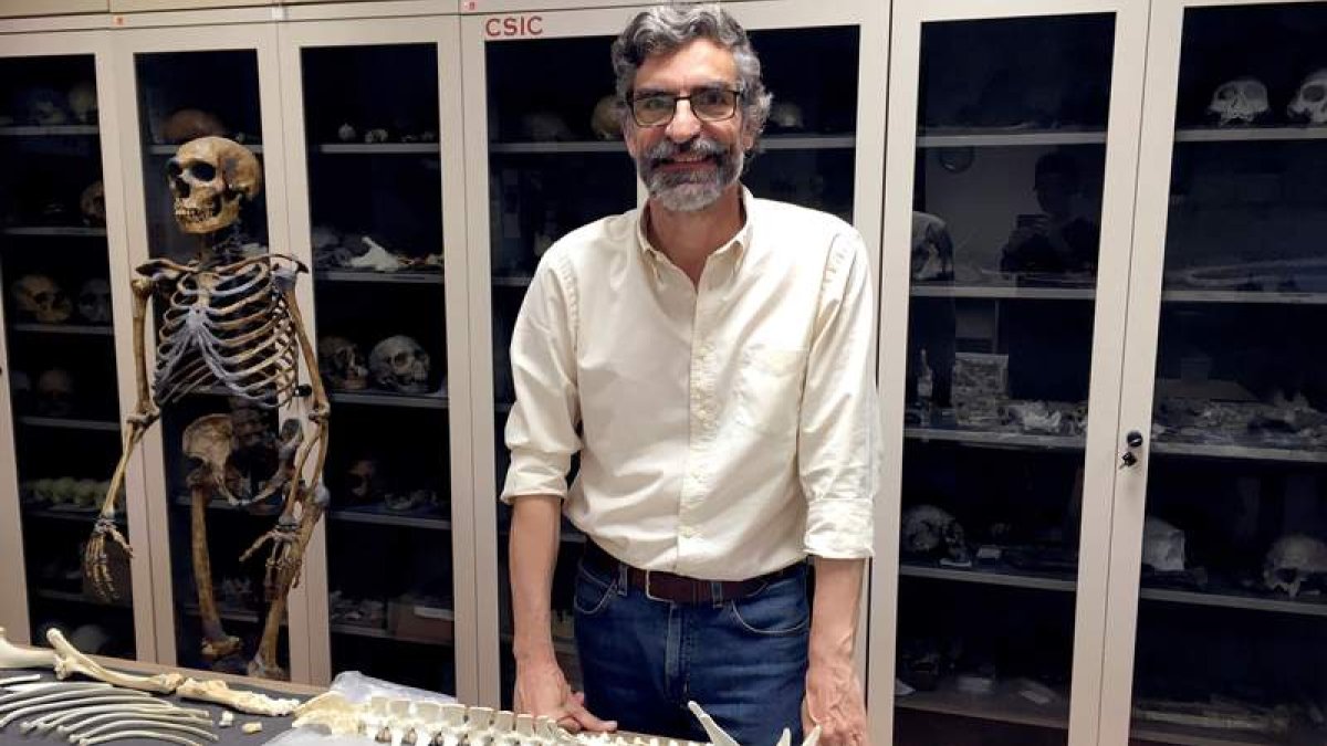 Antonio Rosas, en su laboratorio en el Museo Nacional de Ciencias Naturales.