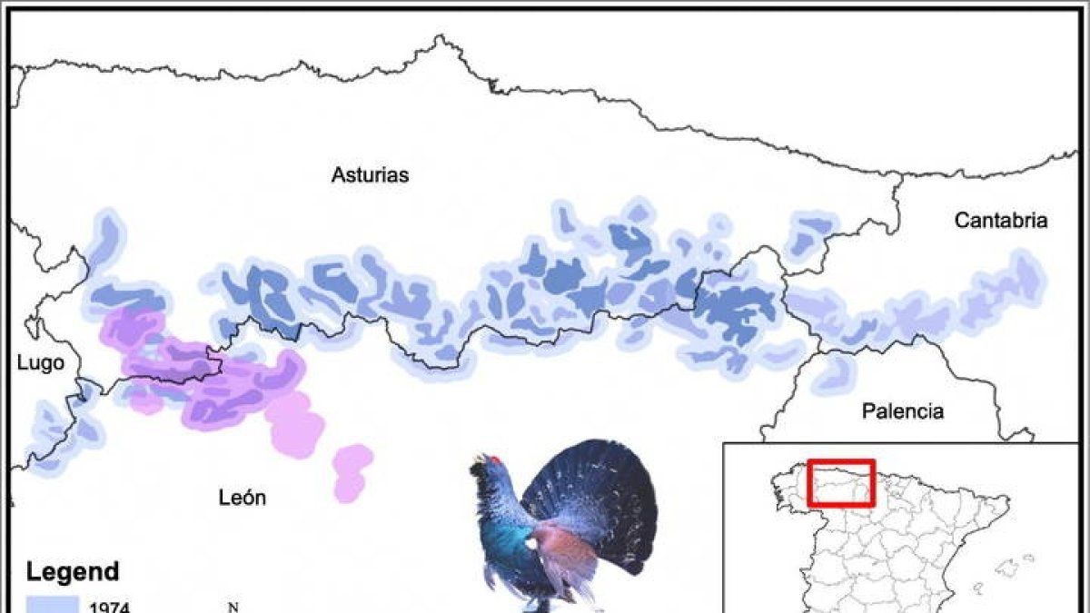 Mapa de la distribución del urogallo cantábrico. IREC