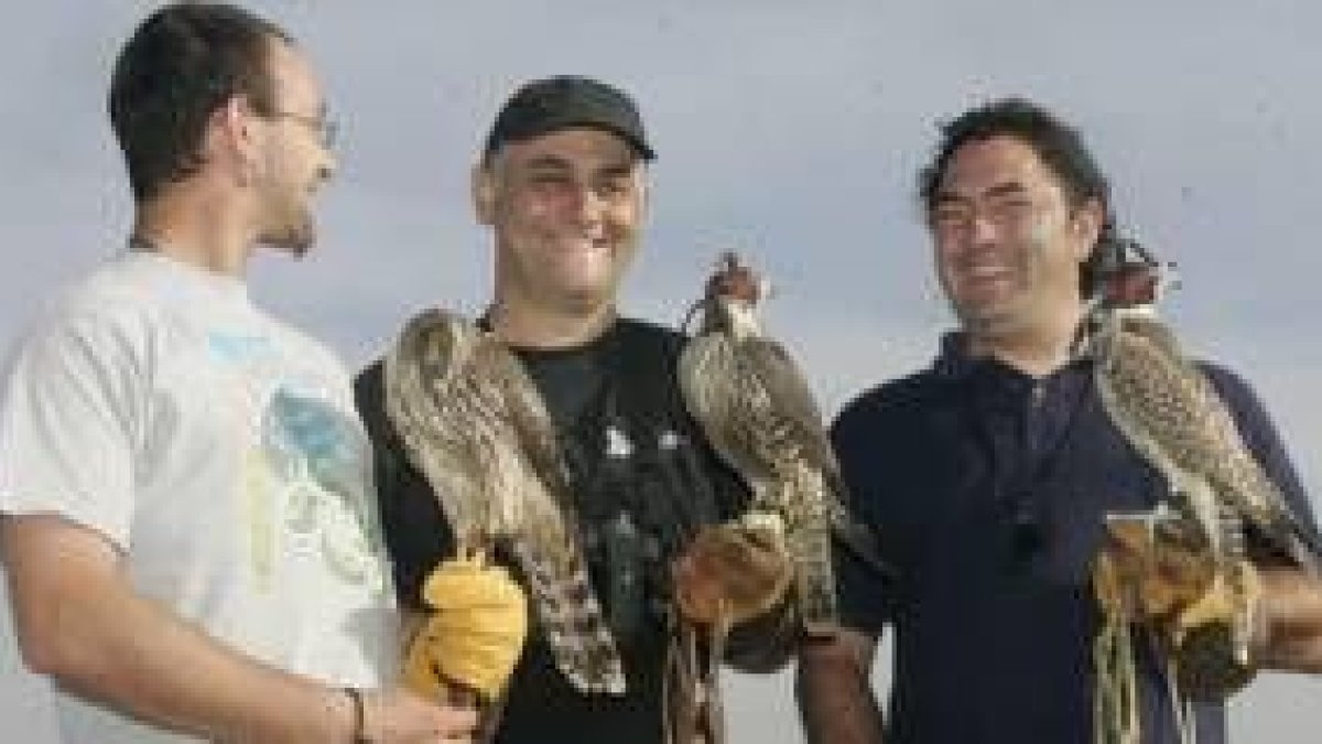 Los últimos ganadores de las jornadas de cetrería del norte de España