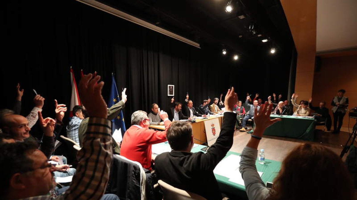 Los alcaldes del Bierzo, en la imagen en un pleno del Consejo, están invitados al acto. ANA F. BARREDO