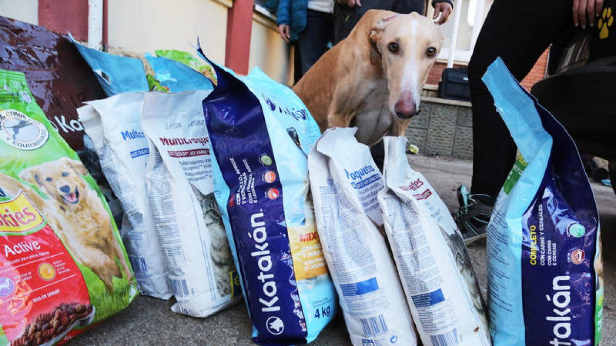 El reparto de alimentos para las mascotas de las familias más necesitadas se realiza en el centro social de la Serna