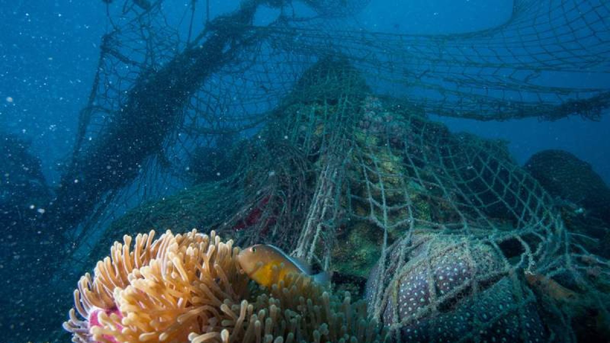 Un millón de toneladas de redes procedentes de la pesca terminan cada año en los océanos. EFE
