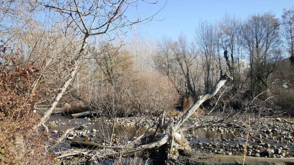 Río Cabrera hace unos días, antes de empezar a llover, en la desembocadura al Sil en Puente. DL