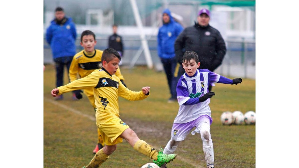 El fútbol leonés se opone a la unificación de las zonas de León y el Bierzo. F. OTERO PERANDONES