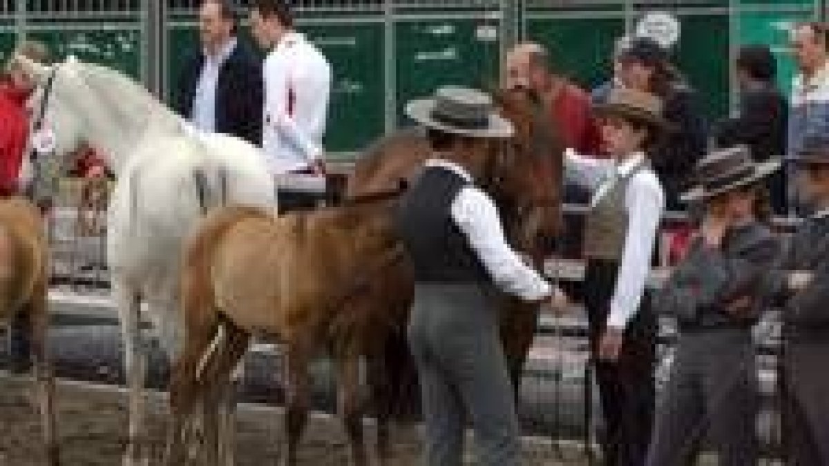 El recinto ferial reunió a más de doscientos ejemplares de pura raza, cruzados y de doma vaquera