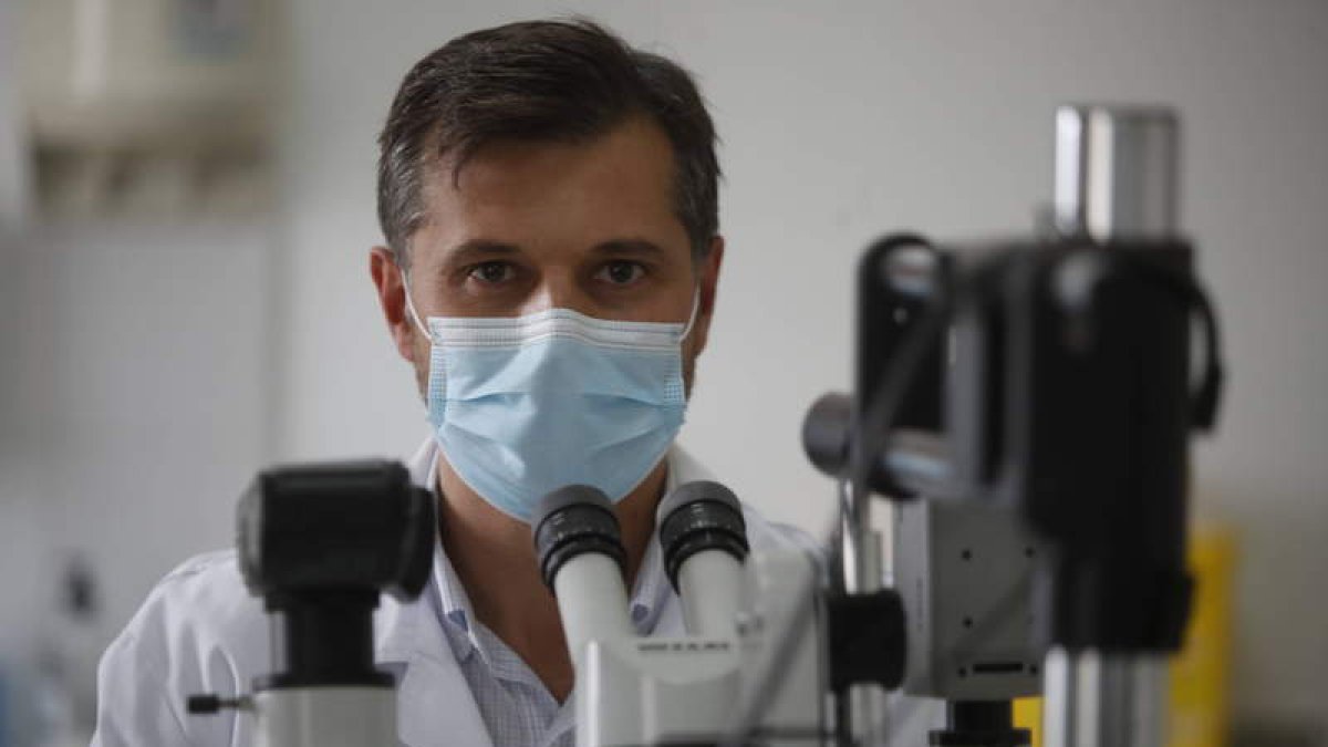 Rubén Álvarez, del servicio de Cirugía Plástica, director del comité de organización. RAMIRO