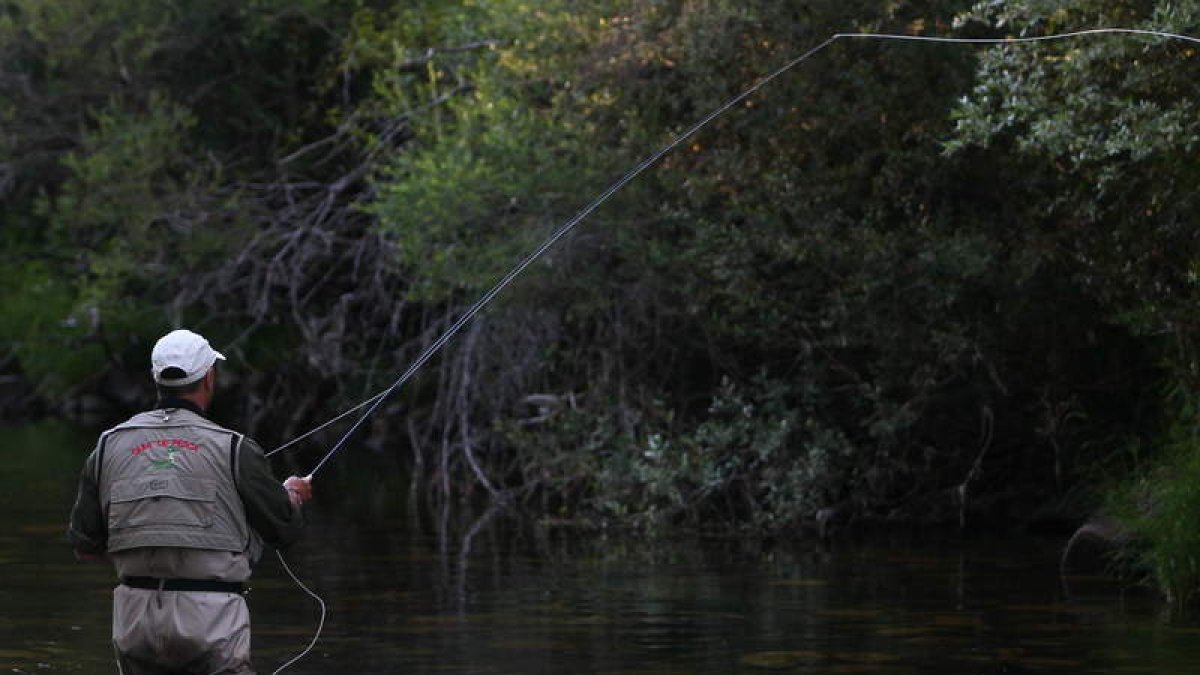Un pescador en uno de los ríos de León. La pesca sin muerte ha abierto la polémica.