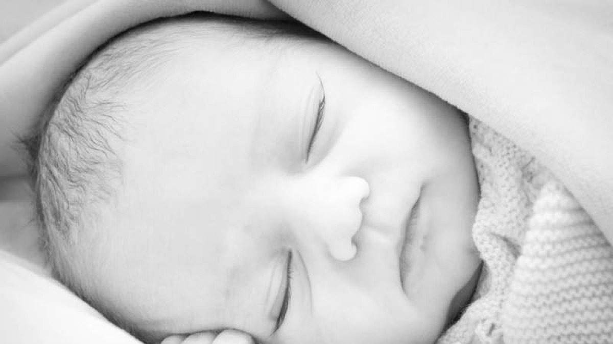 Fotografías de algunos de los 340 bebés fotografíados ya nacidos en el Hospital de León.