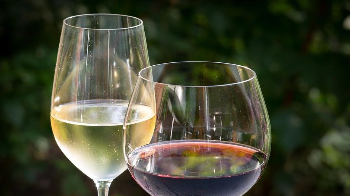 Feria del Vino