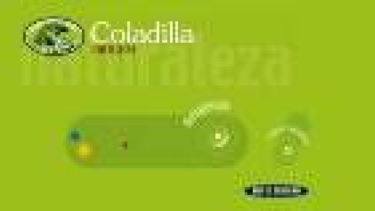 La diversificación de Coladilla se explota en Internet