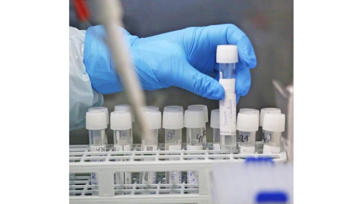 Las moléculas analizadas permiten nuevos usos contra los virus. elvis gonzález