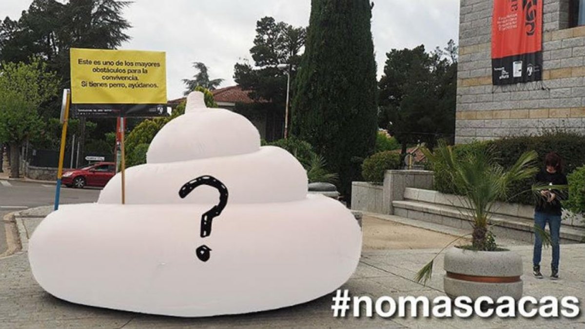 Una imagen de la 'caca gigante'.