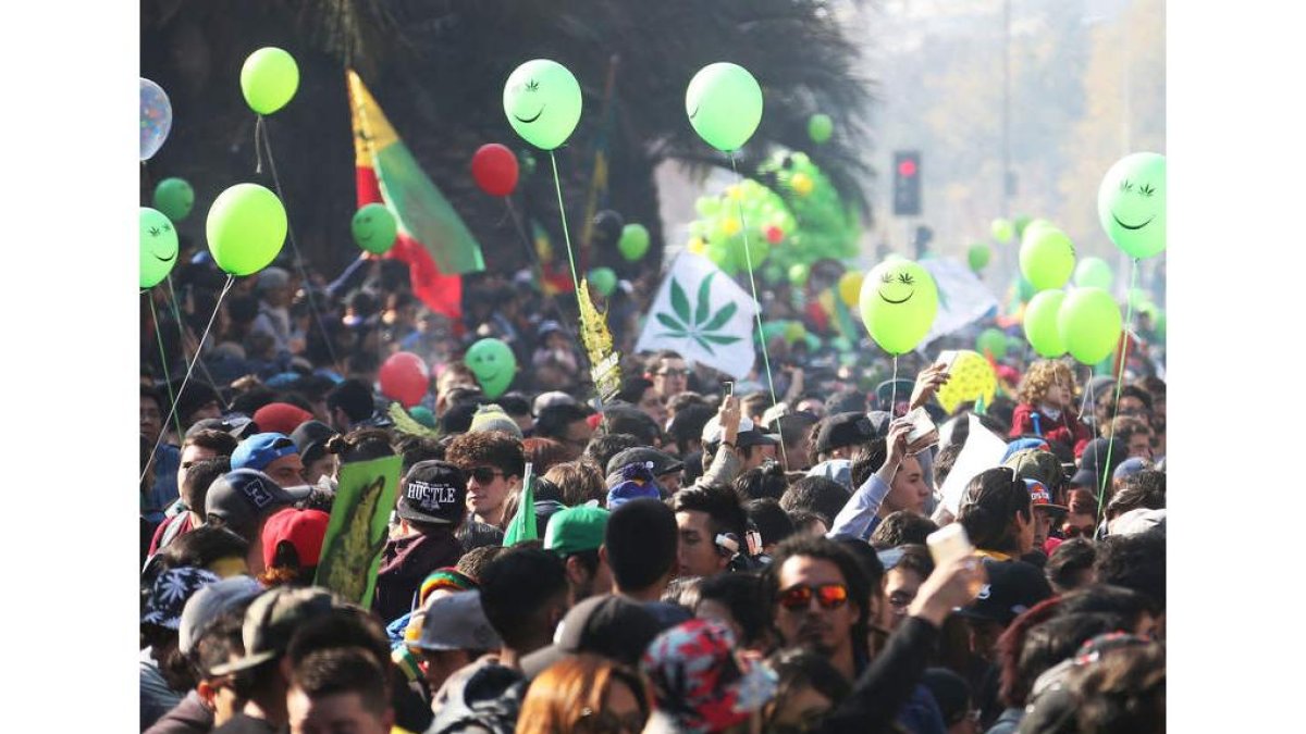 Miles de personas marchan en favor del uso y cultivo de la marihuana. ELVIS GONZÁLEZ