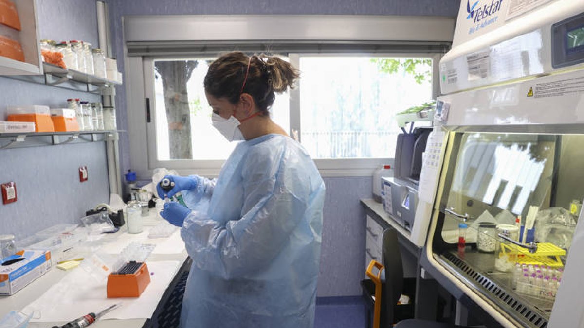 El laboratorio de arbovirus y enfermedades víricas importantes del Centro Nacional de Microbiología. KIKO HUESCA