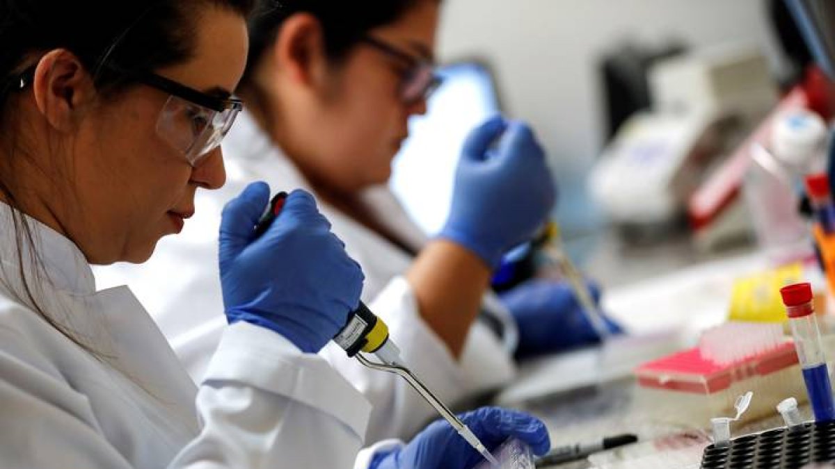 Científicos de un laboratorio brasileño. SEBASTIAO MOREIRA