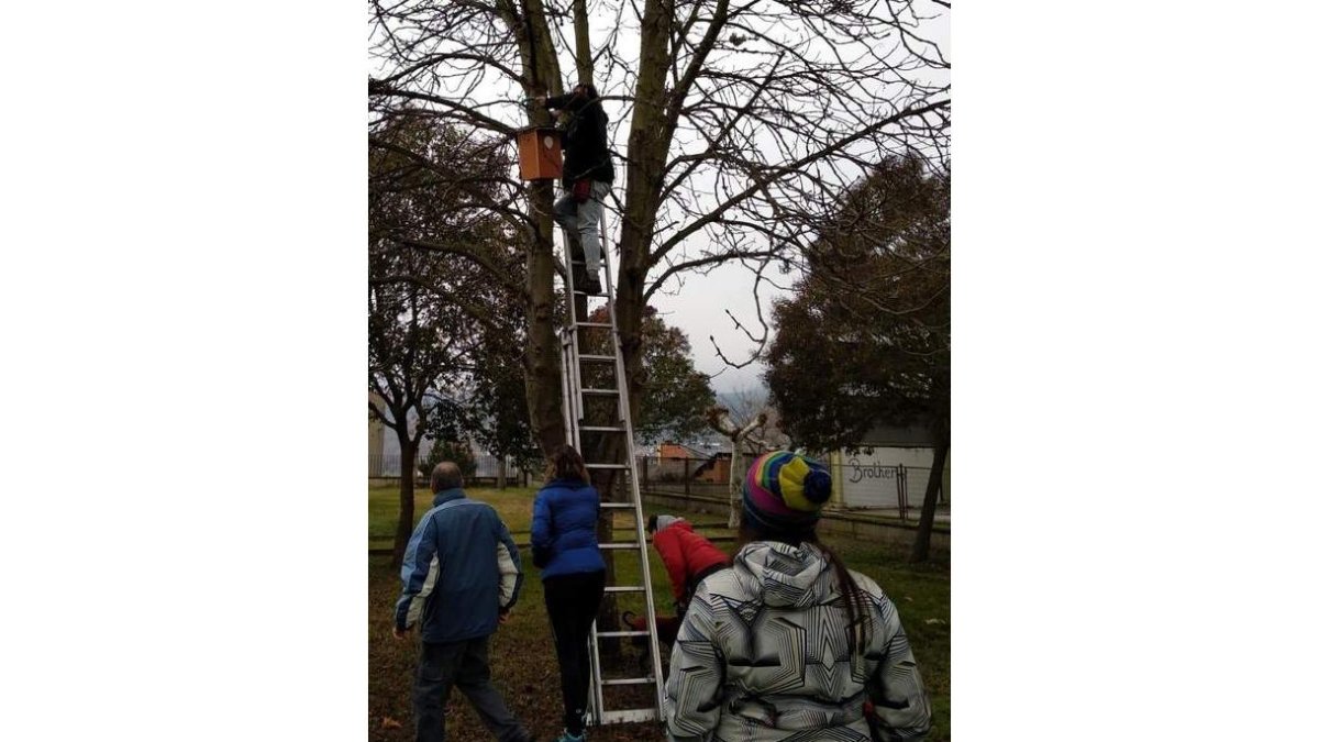 Participantes en la acción, colocando uno de los nidos. DL