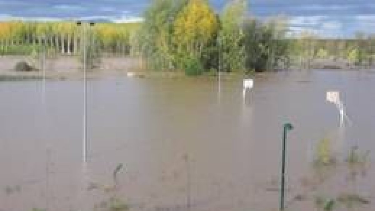 Imagen que ayer ofrecía el área recretiva de la Isla en la margen izquierda del río Esla