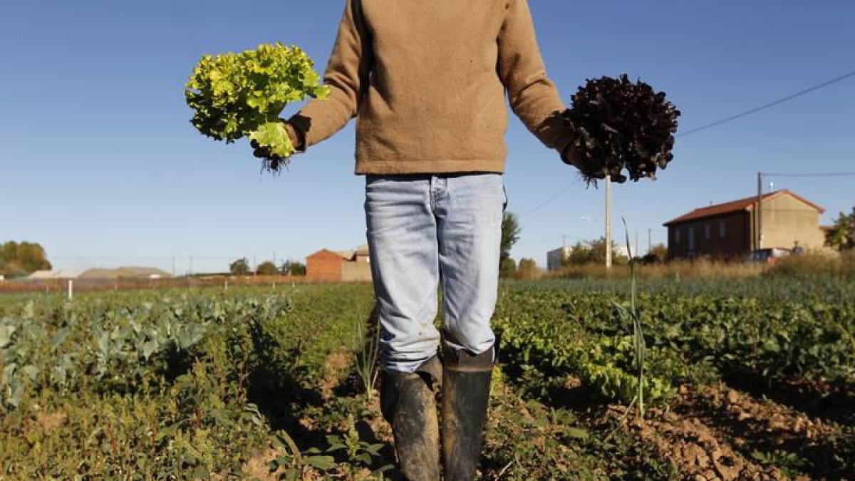 Agricultura ecológica en Matalobos del Páramo.