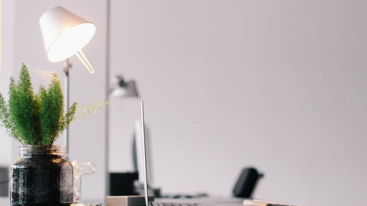 ¿Cuál es la mejor forma de ahorrar luz en casa?