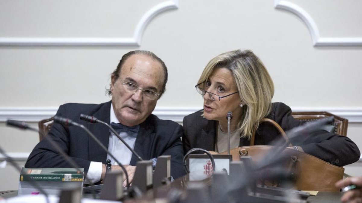 Asunción Barberá, en la comisión municipal de investigación sobre la gestión del PP en el Ayuntamiento de Valencia.