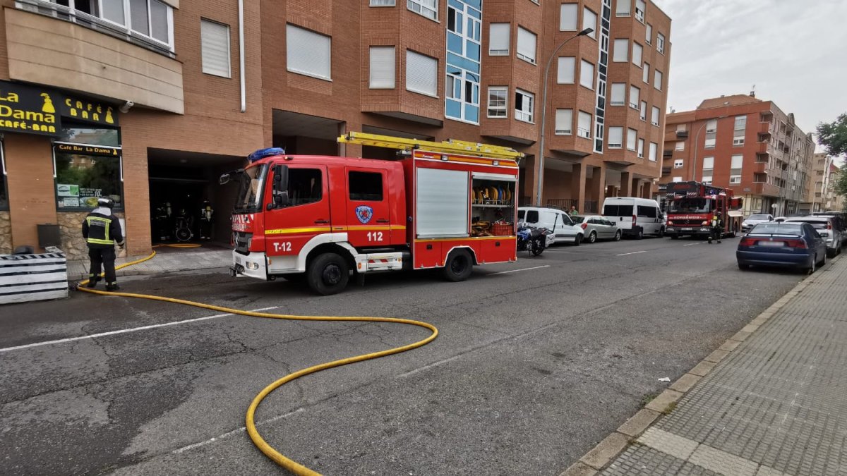 Intervención de los Bomberos de León en el paseo Quintanilla. LUIS CANAL