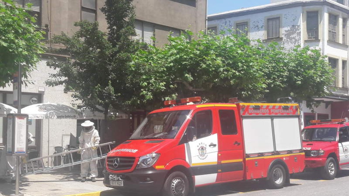 Un bombero, ataviado con un traje especial para retirar, ayer, el enjambre en Flores del Sil. DL