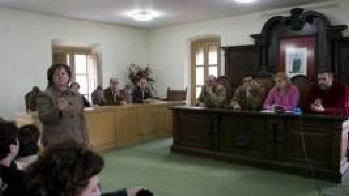 La madre del joven amenazado y agredido recientemente intervino en la sesión de urgencia de ayer