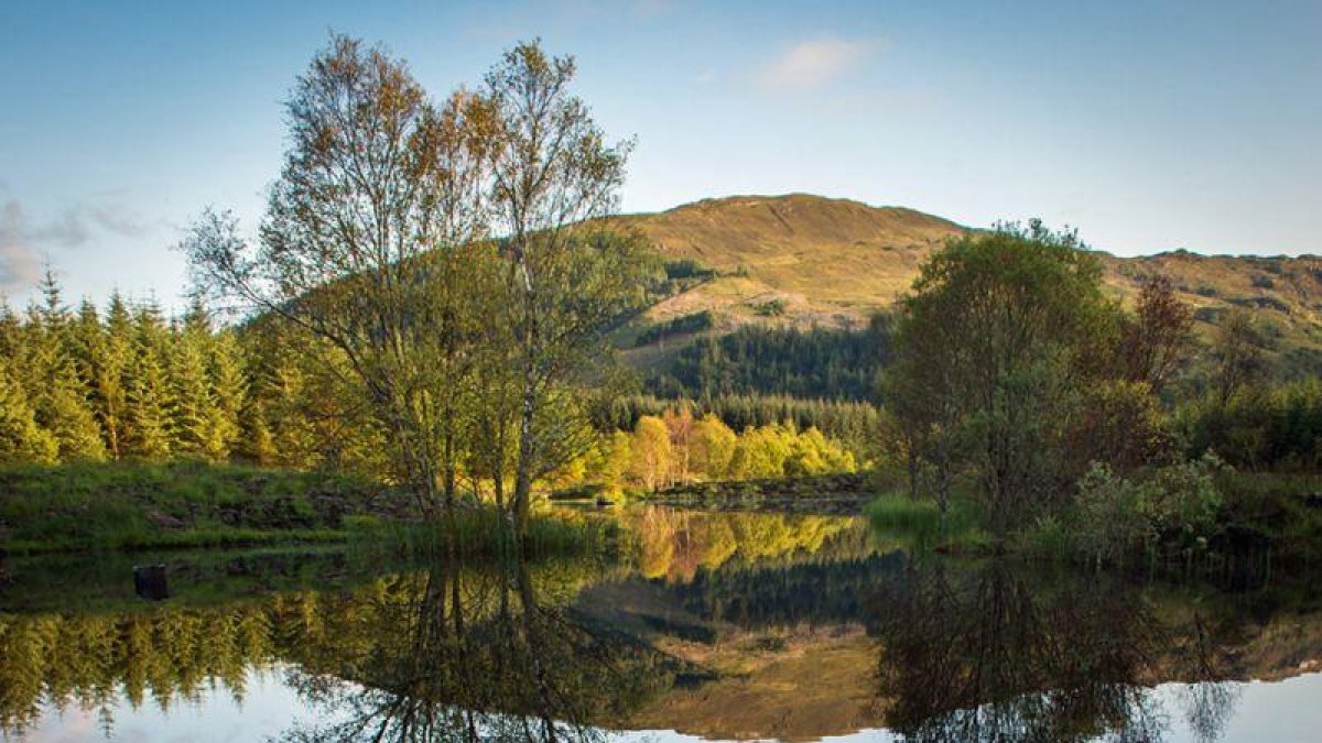 Una imagen de la Reserva Natural Highland Titles, en el Bosque de Glencoe, Escocia.