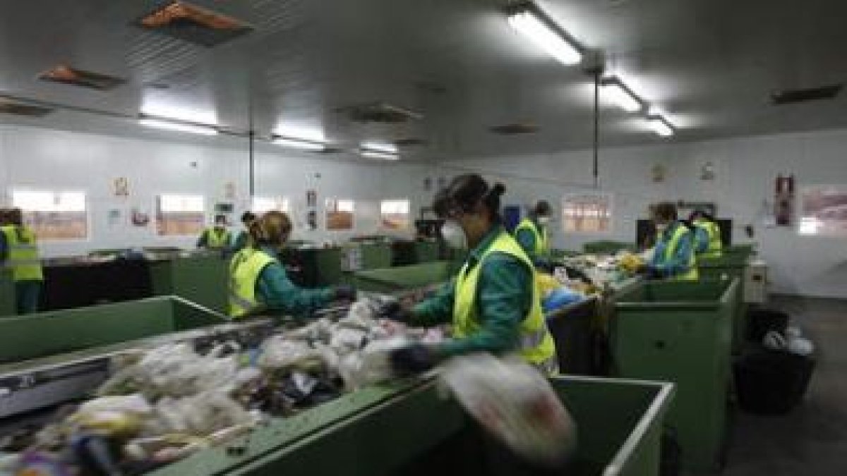 Varios trabajadores separan los residuos en el CTR en una imagen de archivo.