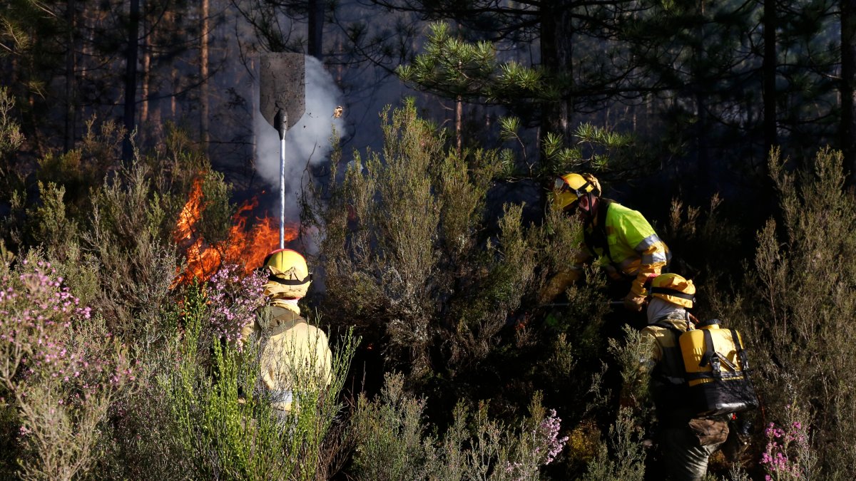 Balboa registra dos incendios intencionados en menos de 24 horas
