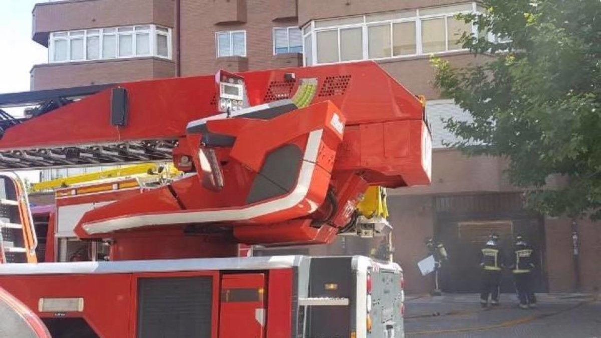 Imagen de la actuación facilitada por las fuerzas de seguridad. POLICÍA LOCAL DE LEÓN