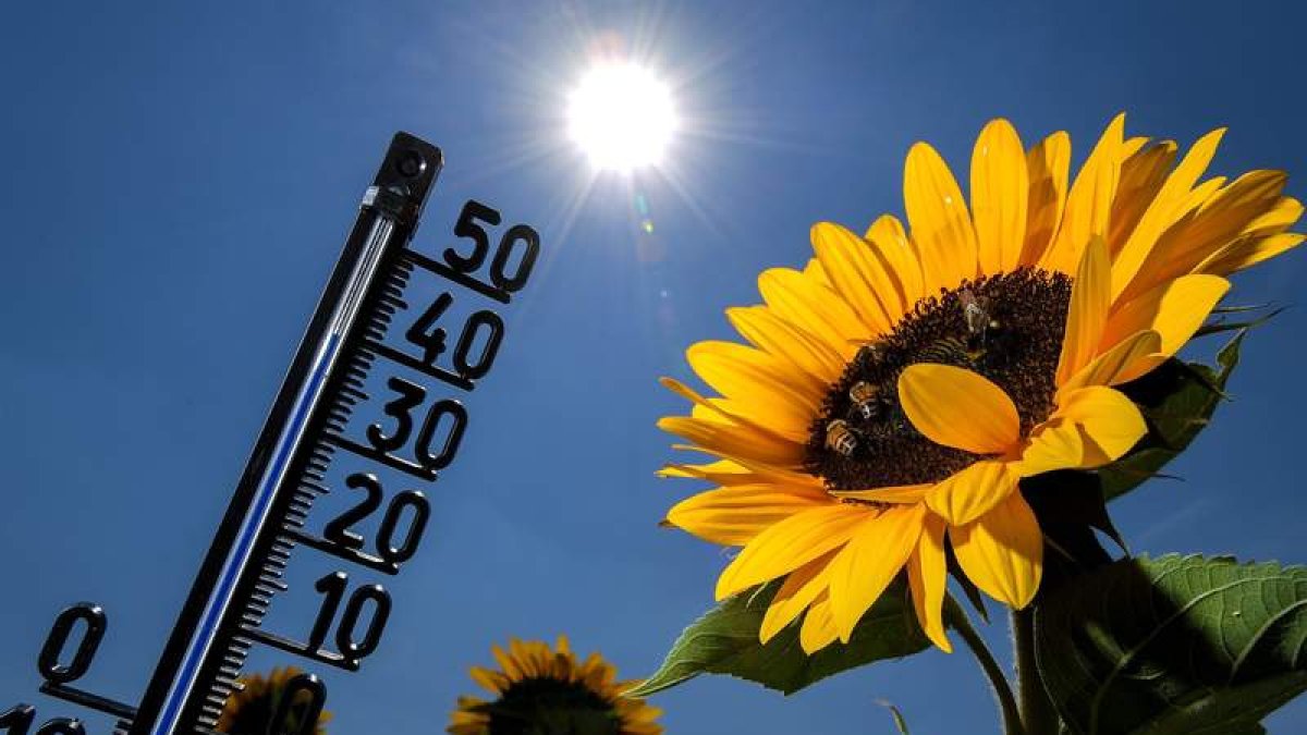 Los termómetros alcanzarán las temperaturas más altas de la ola de calor el sábado en León, según las previsiones de la Aemet. KAMP-LINTFORT