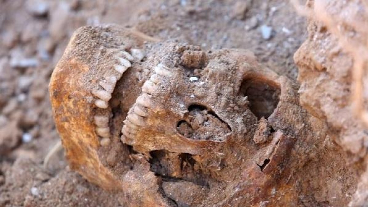 Trabajos de la Asociación para la Recuperación de la Memoria Histórica, ARMH, en una de las fosas abiertas en la zona del Bierzo en el año 2009