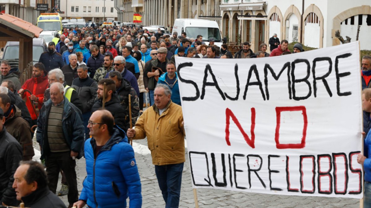 Manifestación ganadera contra la protección del lobo en Riaño. MARCIANO PÉREZ