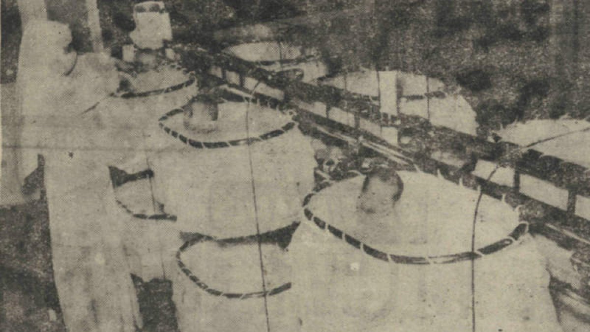 Las Misioneras Carmelitas se hicieron cargo de la Maternidad del Estado, inaugurada en la carretera de Asturias desde el 16 de noviembre de 1956 hasta finales de 1974. El obispo Almarcha bautizó a los tres primeros nacidos y las esposas de las principales