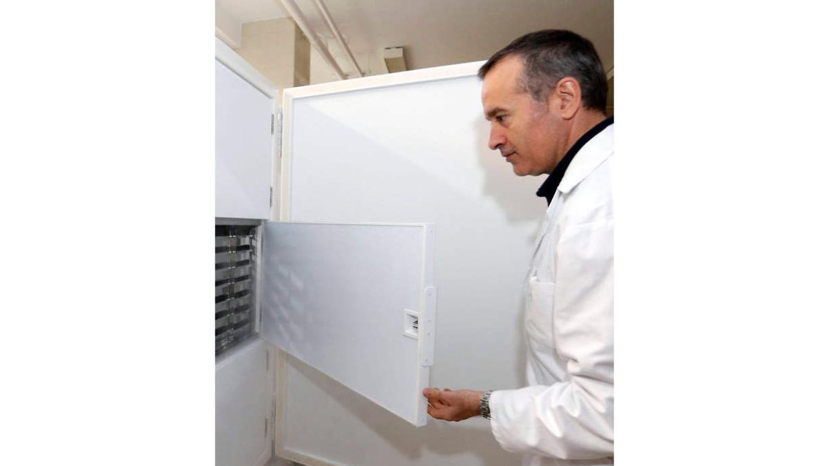 Instalaciones del Biobancode la Universidad de León.