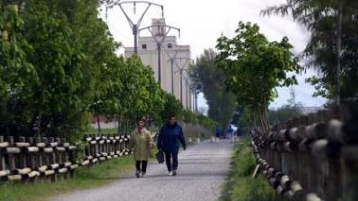 La Vía Verde del Esla discurre por 11 kilómetros entre Valencia de Don Juan y Castrofuerte.