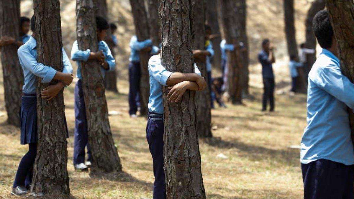 Niños y niñas de Katmandú se abrazan a los árboles en el Día Mundial del Medio Ambiente. NARENDRA SHRESTHA