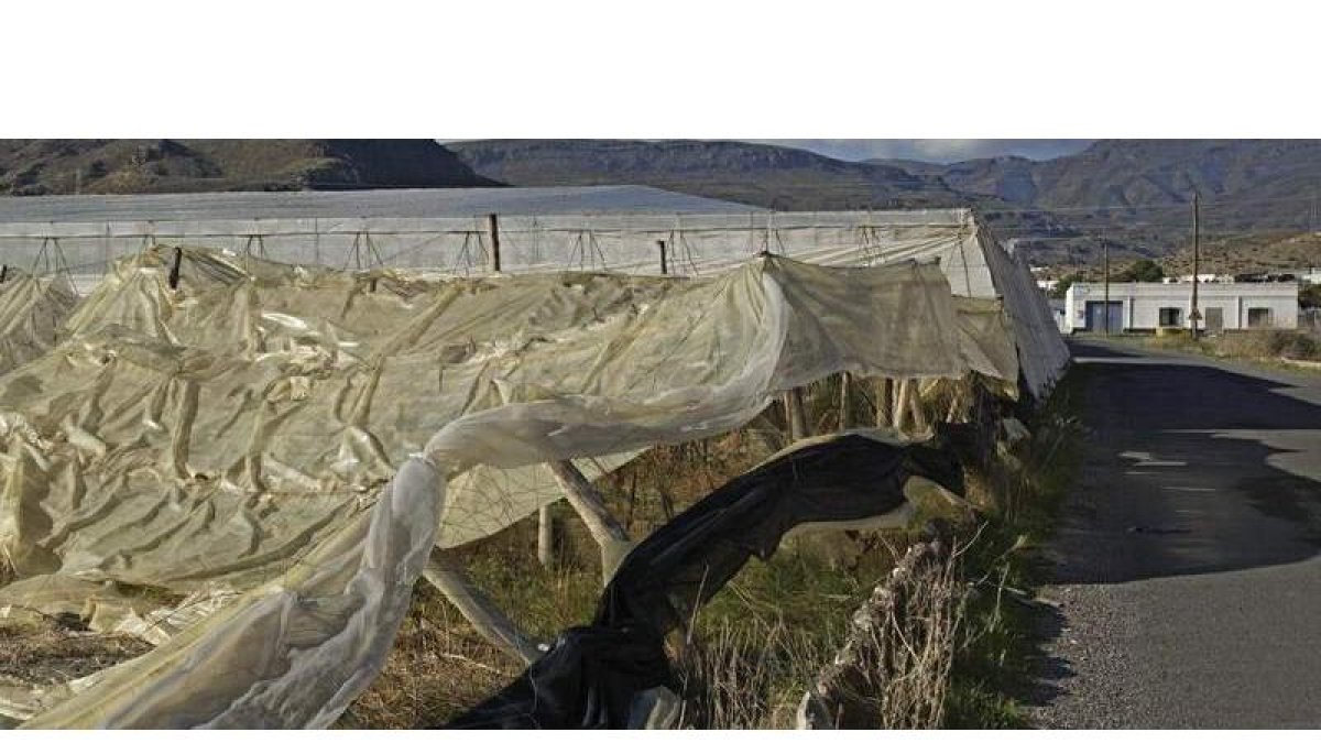 Los plásticos de los invernaderos generan numerosos residuos contaminantes que pueden evitarse. JOSÉ MANUEL VIDAL